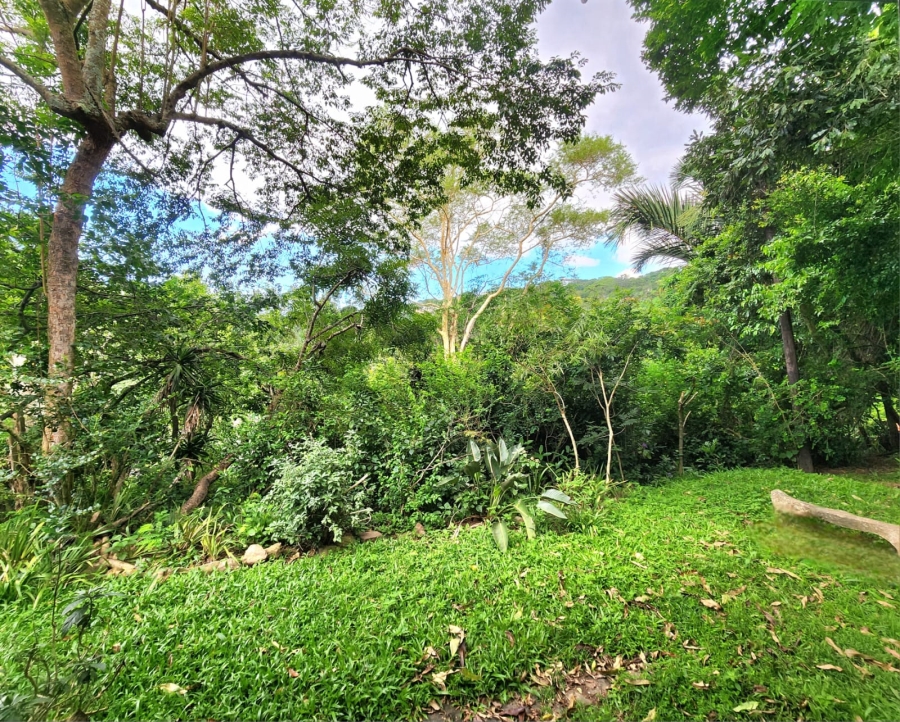 3 Bedroom Property for Sale in Westville Central KwaZulu-Natal