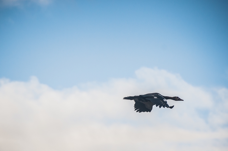 4 Bedroom Property for Sale in Zululami Coastal Estate KwaZulu-Natal