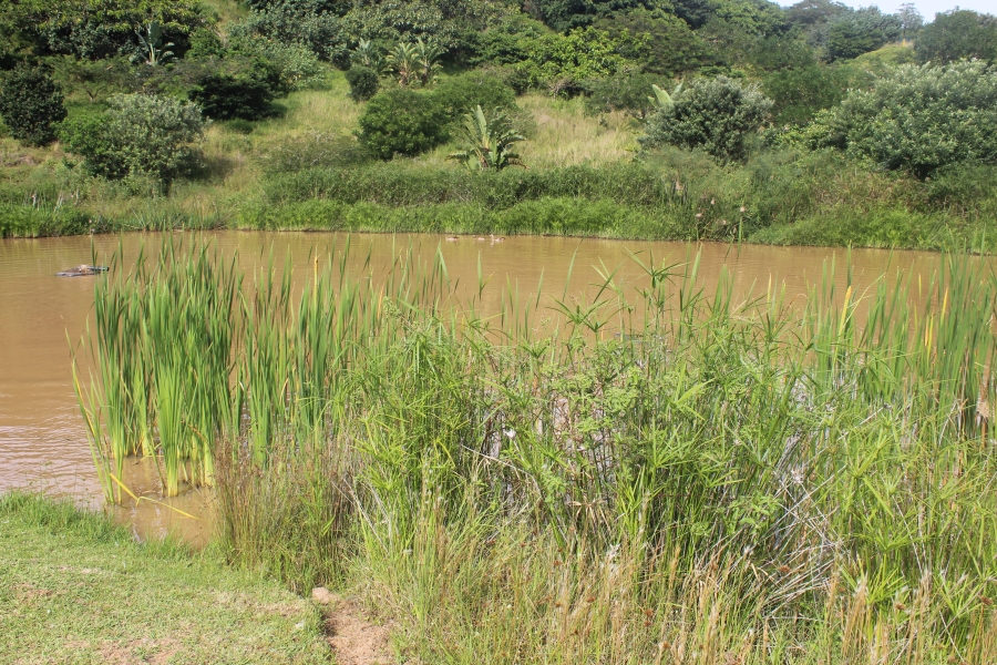 2 Bedroom Property for Sale in Zululami Coastal Estate KwaZulu-Natal