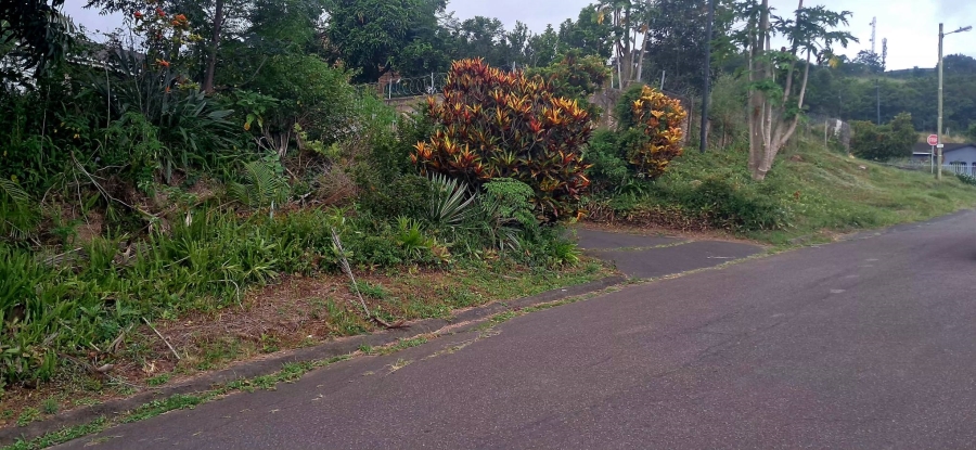 3 Bedroom Property for Sale in Regency Park KwaZulu-Natal