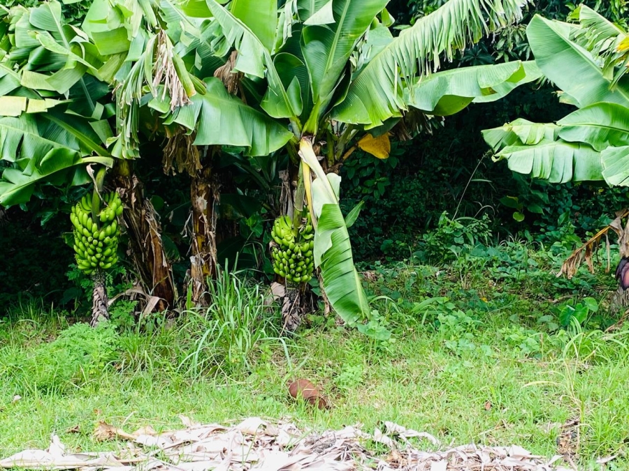 3 Bedroom Property for Sale in Umbango KwaZulu-Natal