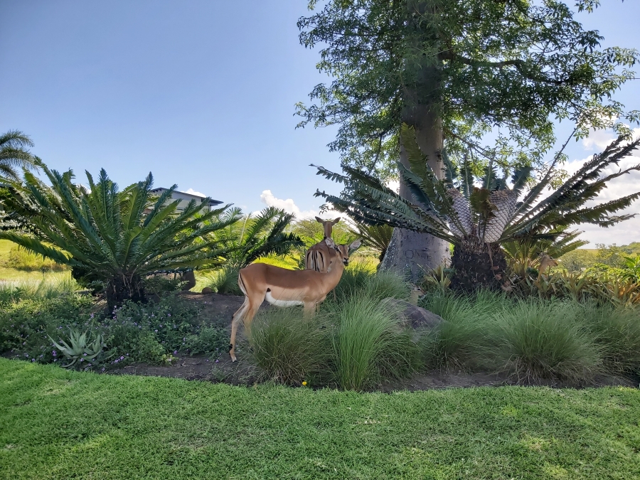 3 Bedroom Property for Sale in Palm Lakes Estate KwaZulu-Natal