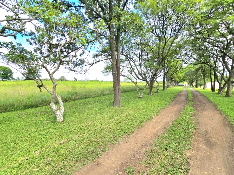 Commercial Property for Sale in Umlaas KwaZulu-Natal