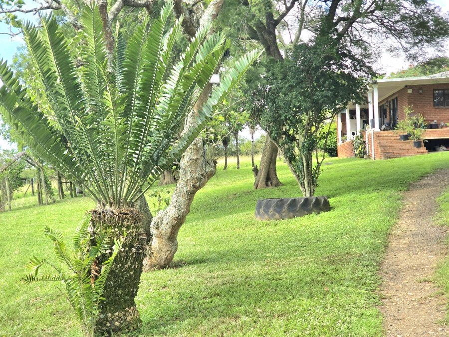 Commercial Property for Sale in Umlaas KwaZulu-Natal