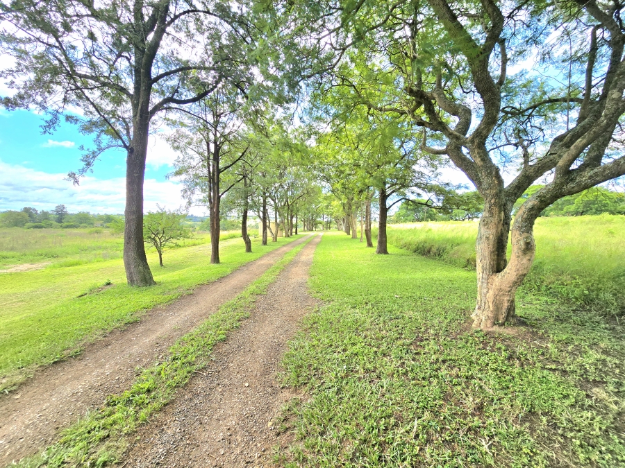 Commercial Property for Sale in Umlaas KwaZulu-Natal