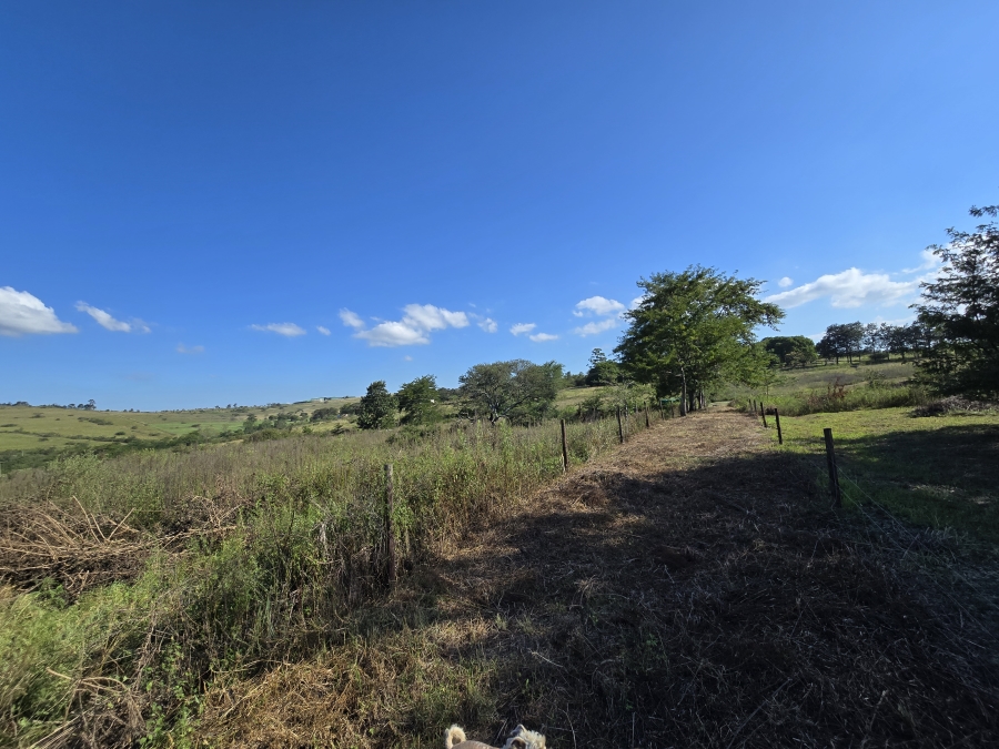 4 Bedroom Property for Sale in Umlaas KwaZulu-Natal