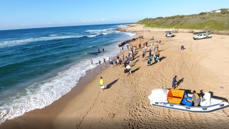 0 Bedroom Property for Sale in Pennington KwaZulu-Natal