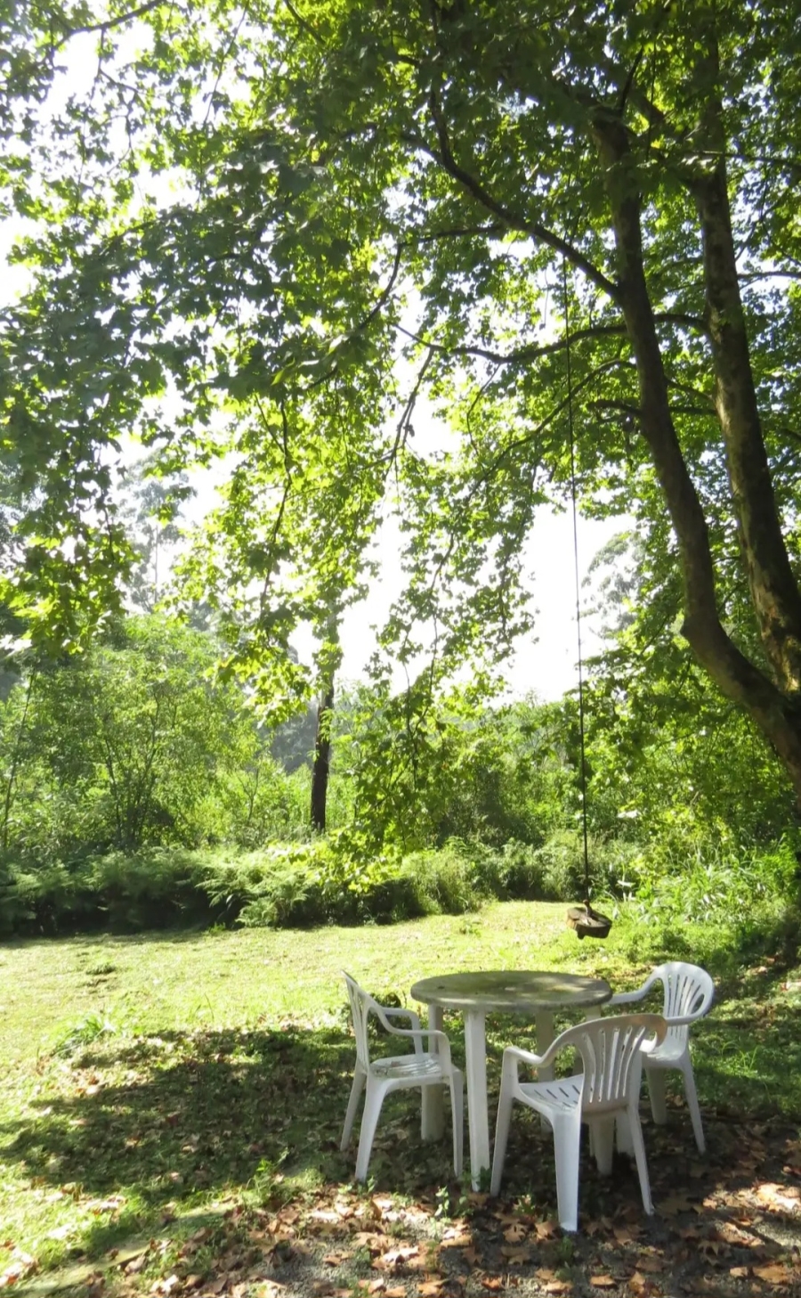 To Let 1 Bedroom Property for Rent in Hilton Central KwaZulu-Natal