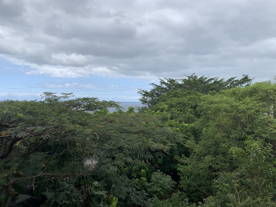 To Let commercial Property for Rent in La Lucia Ridge KwaZulu-Natal