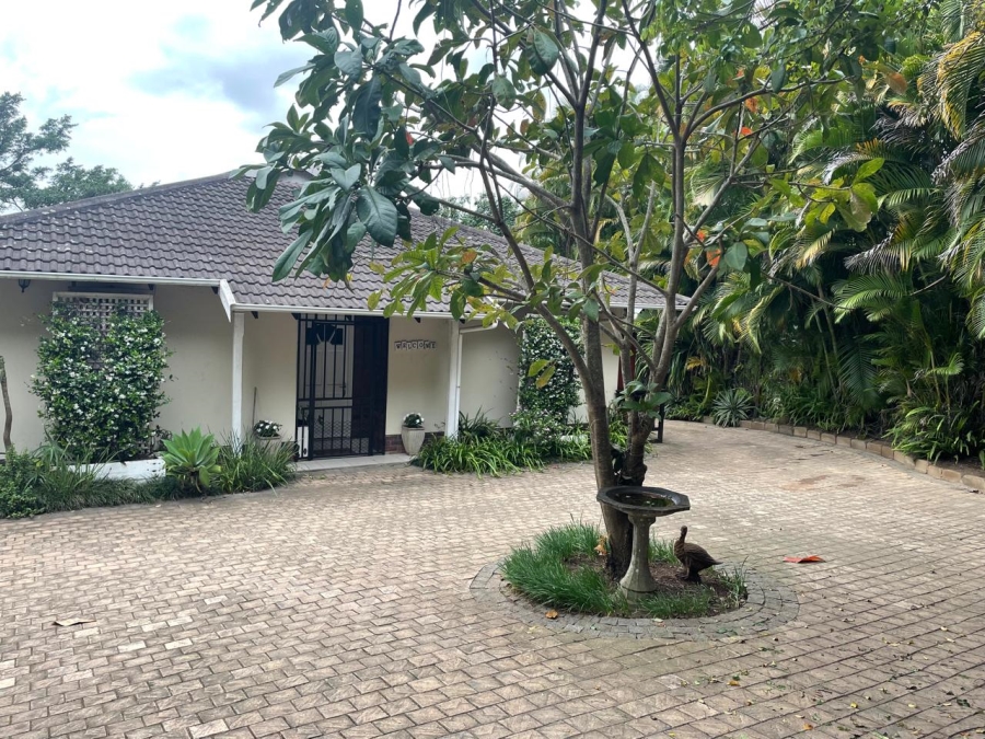 To Let 4 Bedroom Property for Rent in Westville Central KwaZulu-Natal
