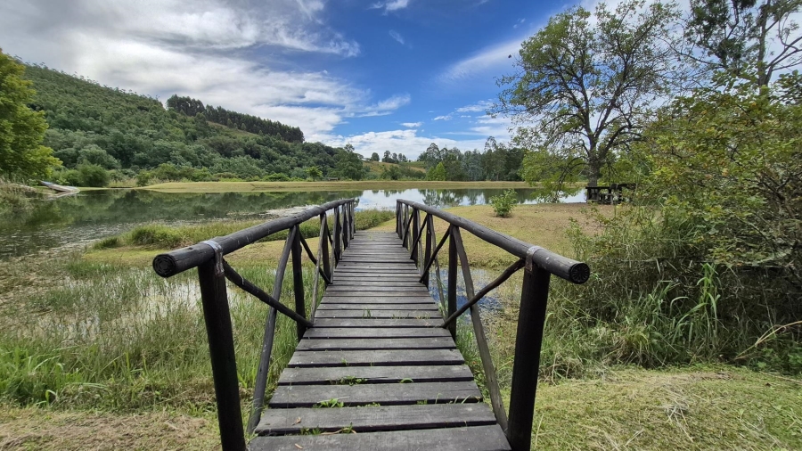 12 Bedroom Property for Sale in Dargle KwaZulu-Natal