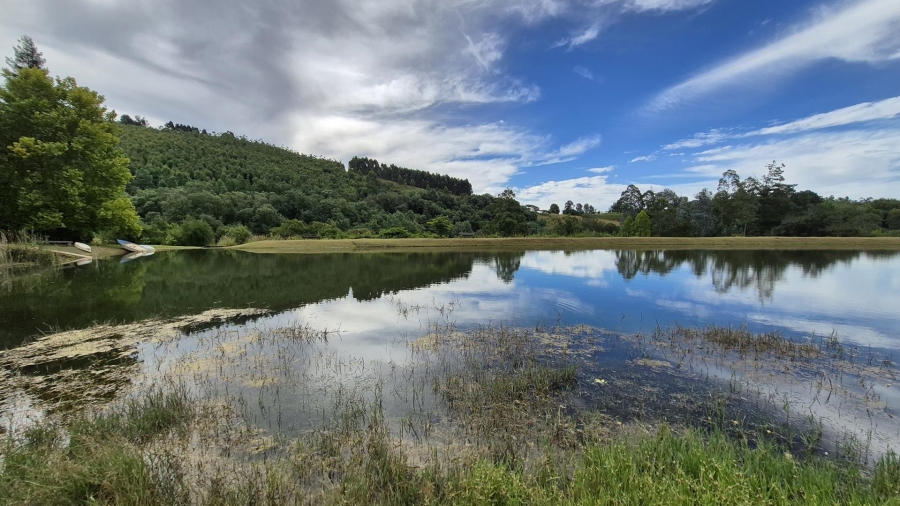 12 Bedroom Property for Sale in Dargle KwaZulu-Natal