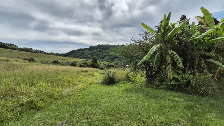 12 Bedroom Property for Sale in Dargle KwaZulu-Natal