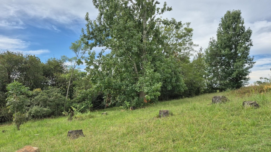 12 Bedroom Property for Sale in Dargle KwaZulu-Natal