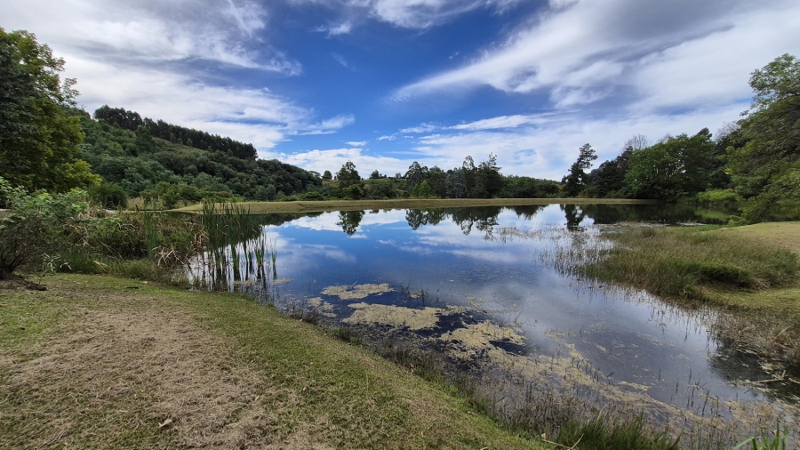 12 Bedroom Property for Sale in Dargle KwaZulu-Natal