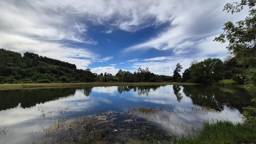 12 Bedroom Property for Sale in Dargle KwaZulu-Natal