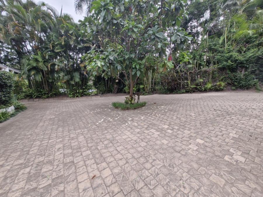 To Let 3 Bedroom Property for Rent in Westville Central KwaZulu-Natal