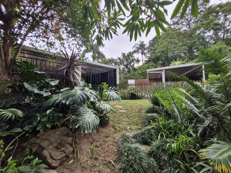 To Let 3 Bedroom Property for Rent in Westville Central KwaZulu-Natal