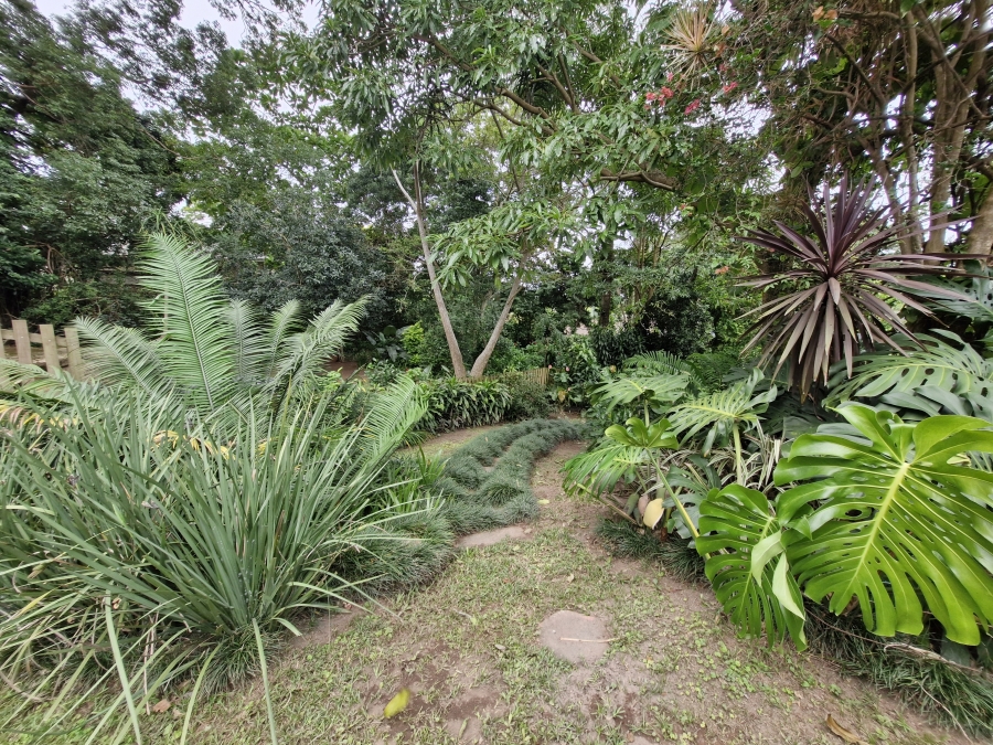 To Let 3 Bedroom Property for Rent in Westville Central KwaZulu-Natal