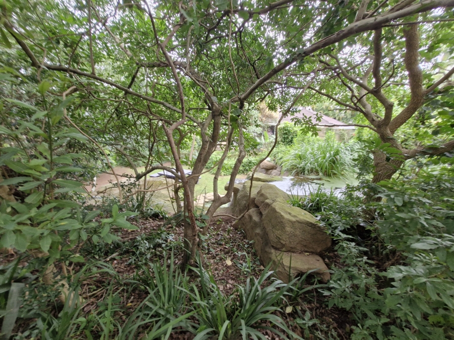 To Let 3 Bedroom Property for Rent in Westville Central KwaZulu-Natal