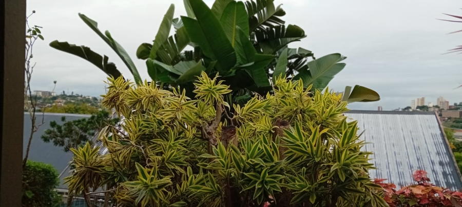 1 Bedroom Property for Sale in Sherwood KwaZulu-Natal