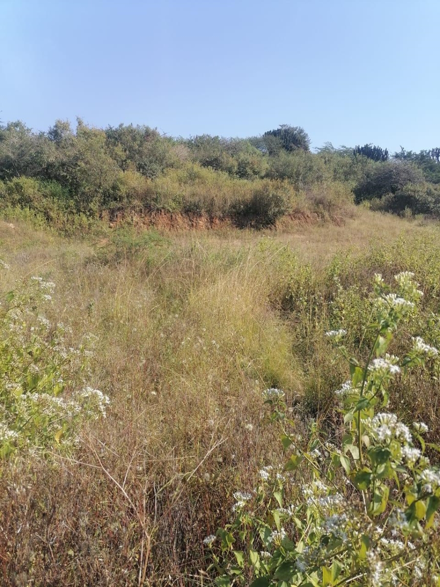 0 Bedroom Property for Sale in Inanda KwaZulu-Natal