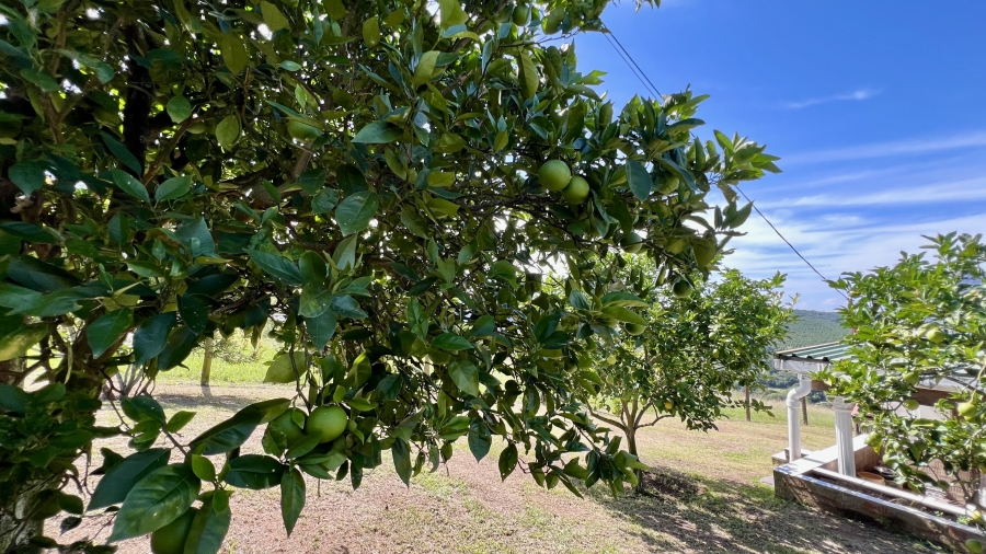 Commercial Property for Sale in Eston KwaZulu-Natal