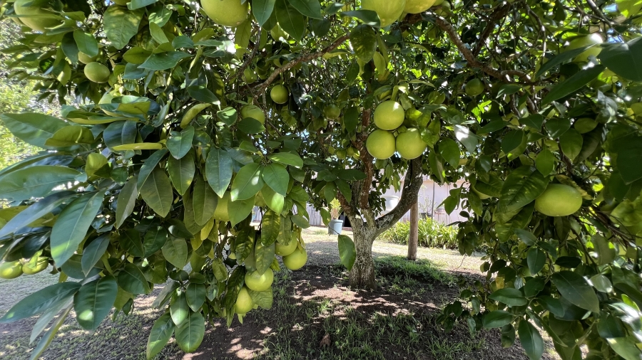 Commercial Property for Sale in Eston KwaZulu-Natal