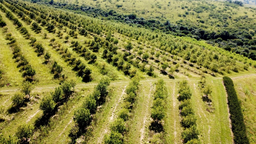 Commercial Property for Sale in Eston KwaZulu-Natal