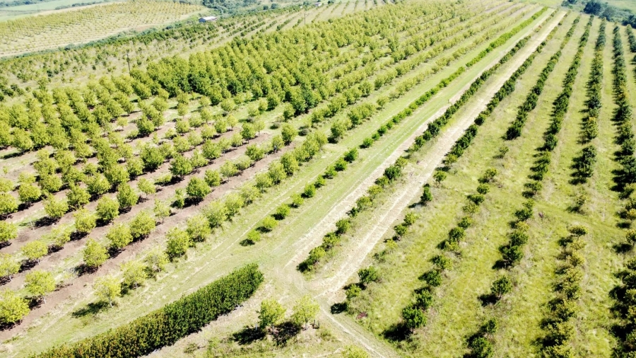 Commercial Property for Sale in Eston KwaZulu-Natal