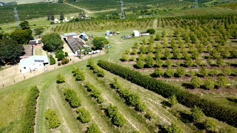 Commercial Property for Sale in Eston KwaZulu-Natal