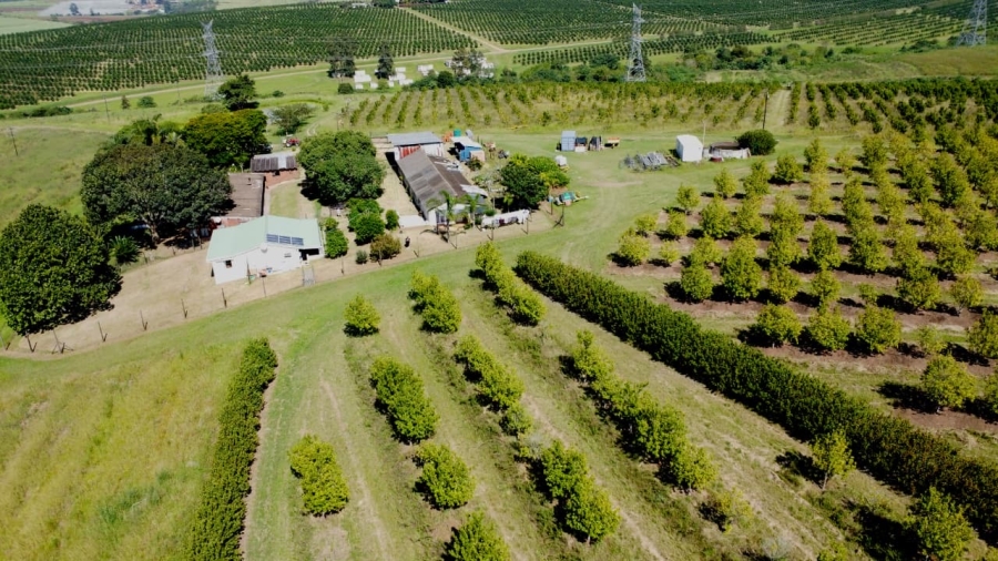 Commercial Property for Sale in Eston KwaZulu-Natal