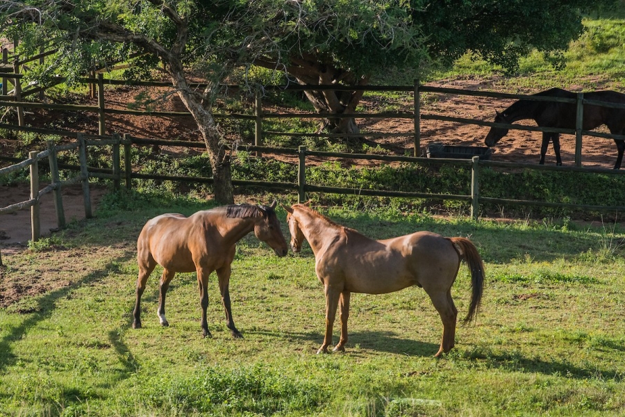 0 Bedroom Property for Sale in Simbithi Eco Estate KwaZulu-Natal