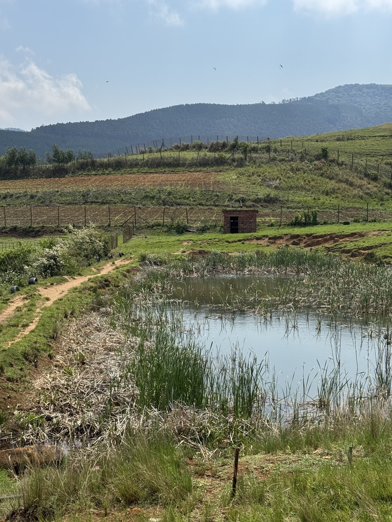 4 Bedroom Property for Sale in Byrne KwaZulu-Natal