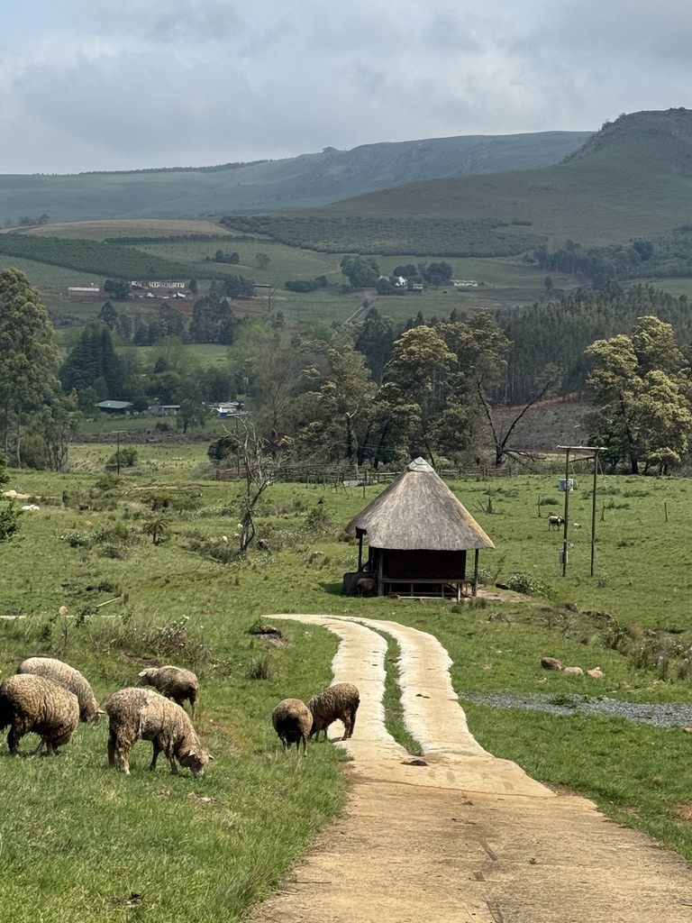 4 Bedroom Property for Sale in Byrne KwaZulu-Natal