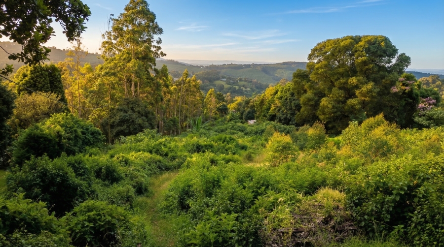 0 Bedroom Property for Sale in Winterskloof KwaZulu-Natal