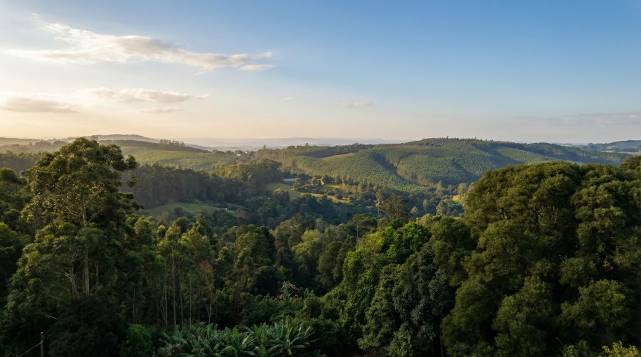 0 Bedroom Property for Sale in Winterskloof KwaZulu-Natal