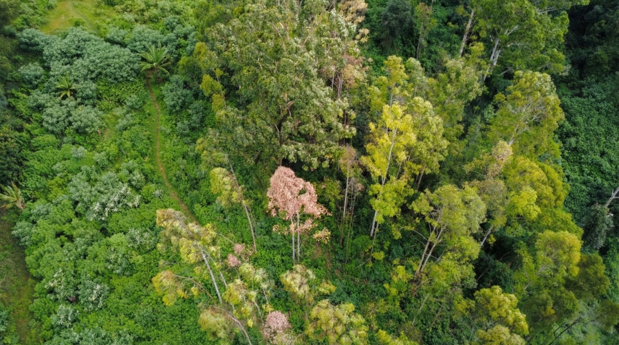 0 Bedroom Property for Sale in Winterskloof KwaZulu-Natal