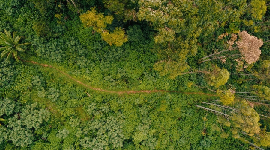 0 Bedroom Property for Sale in Winterskloof KwaZulu-Natal