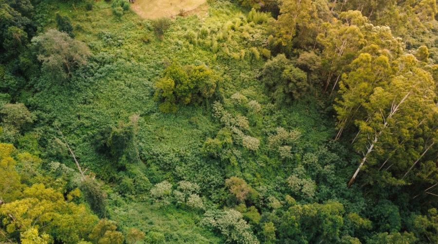 0 Bedroom Property for Sale in Winterskloof KwaZulu-Natal