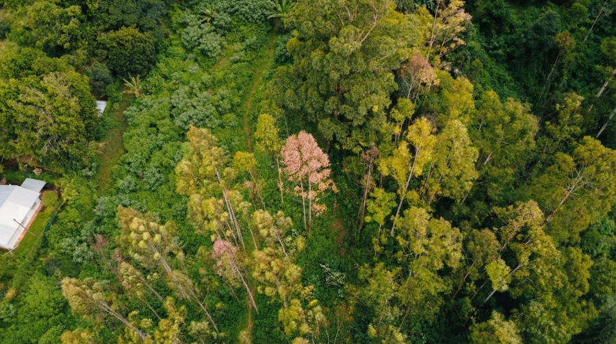 0 Bedroom Property for Sale in Winterskloof KwaZulu-Natal