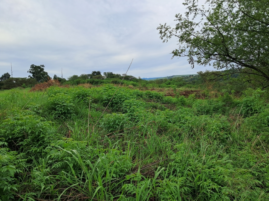 Commercial Property for Sale in Albert Falls KwaZulu-Natal