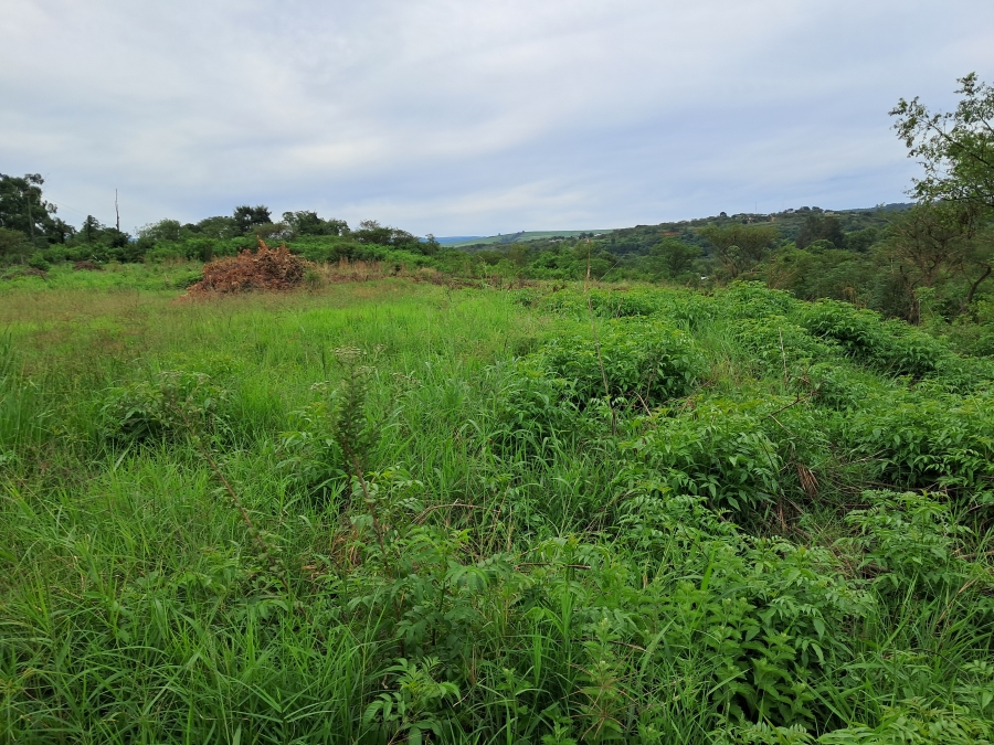 Commercial Property for Sale in Albert Falls KwaZulu-Natal