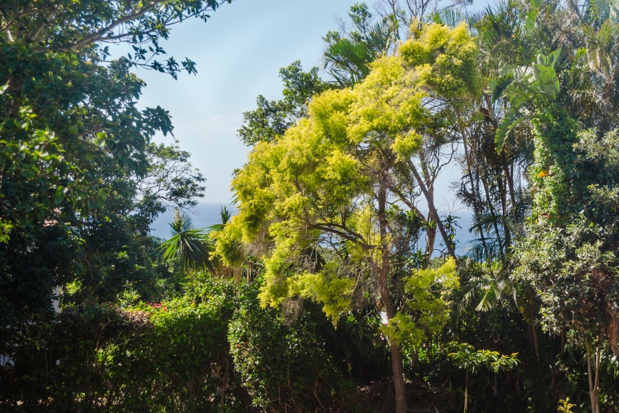 3 Bedroom Property for Sale in Scottburgh Central KwaZulu-Natal