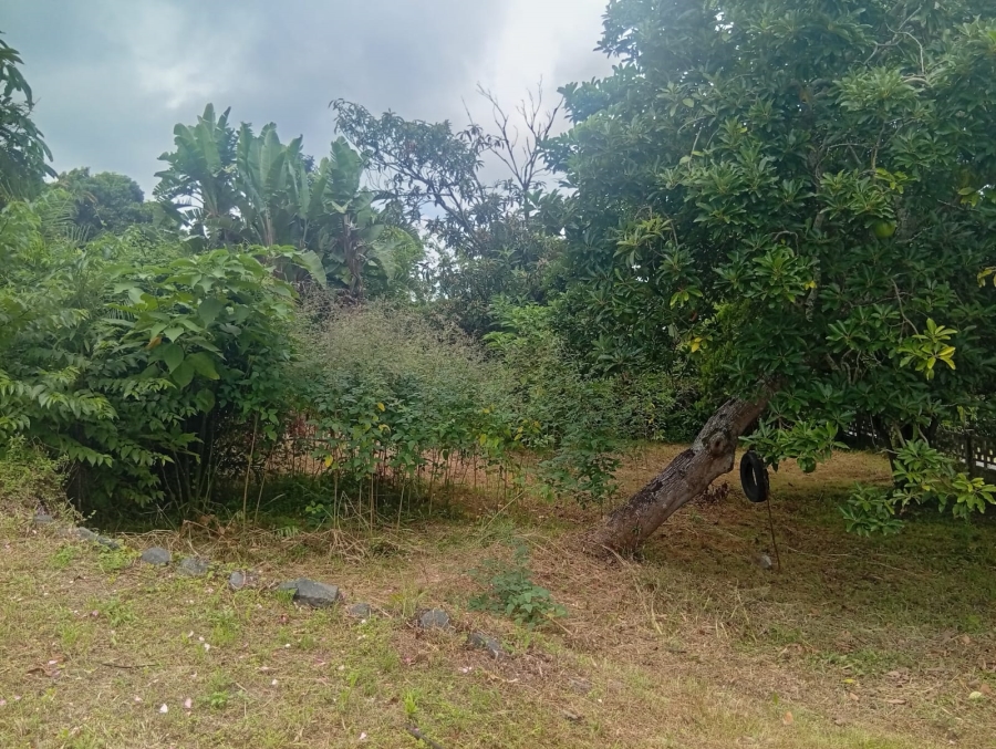 To Let 3 Bedroom Property for Rent in Sarnia KwaZulu-Natal