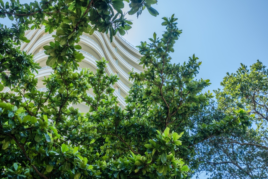 2 Bedroom Property for Sale in Umhlanga KwaZulu-Natal