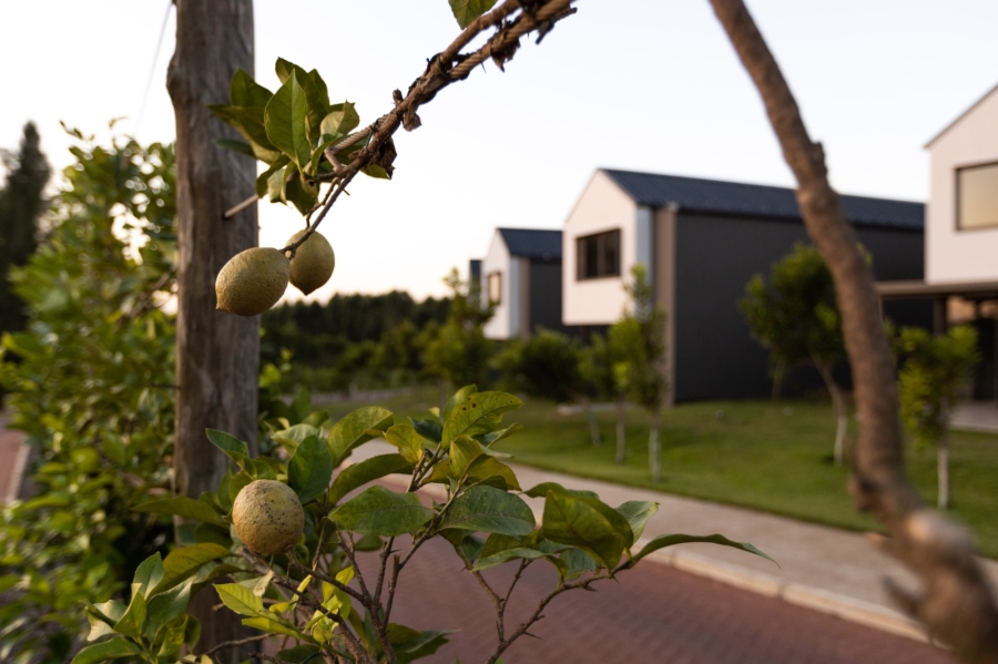 To Let 2 Bedroom Property for Rent in Elaleni Coastal Forest Estate KwaZulu-Natal