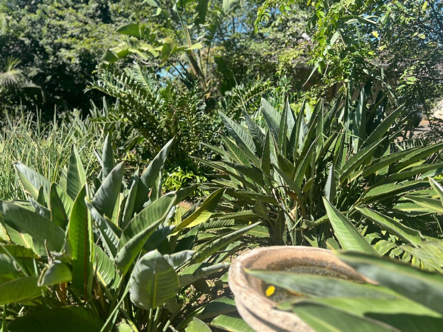 2 Bedroom Property for Sale in Zini River Estate KwaZulu-Natal