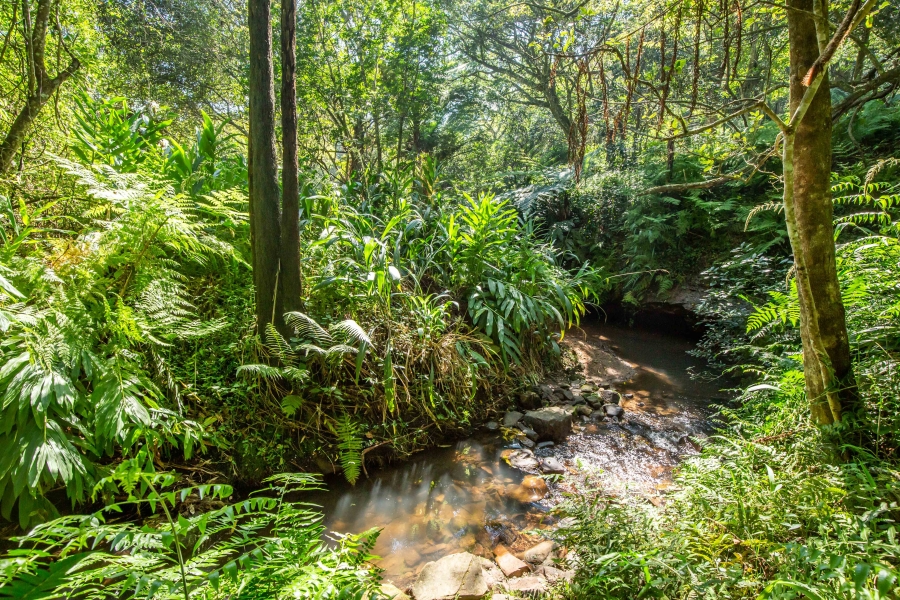 4 Bedroom Property for Sale in Everton KwaZulu-Natal