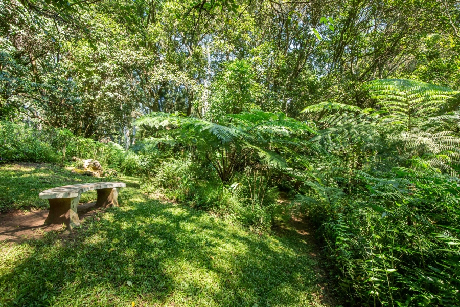 4 Bedroom Property for Sale in Everton KwaZulu-Natal